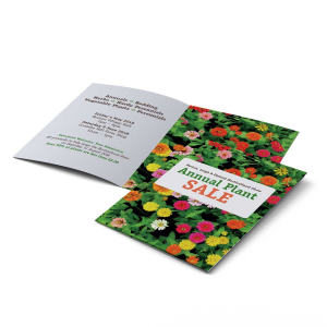A6 Folded Brochures - 4 Page Foldout