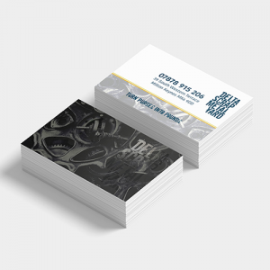 StarMarque Spot UV Business Cards