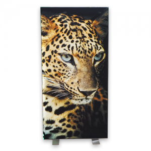 Floor Lightboxes