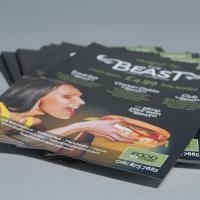 170gsm Silk Leaflets