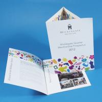 Gloss Lite Folded Leaflets