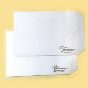 Enveloppes de couleur d'accompagnement 100 g/m²