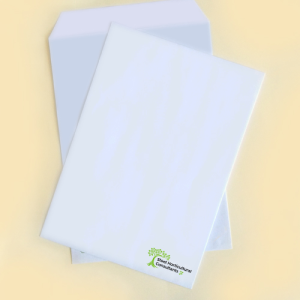 120gsm Spot Colour Envelopes