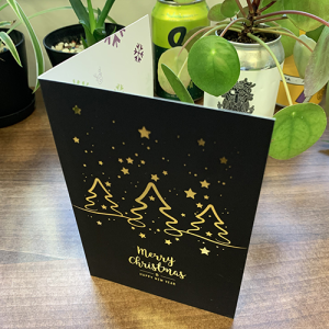 Digital Foiled Grand Suede Greeting Cards