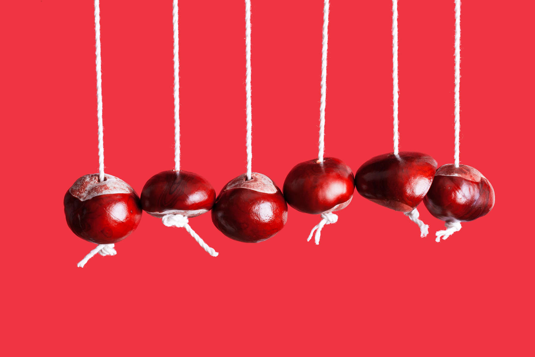 Conkers hanging from string in a row