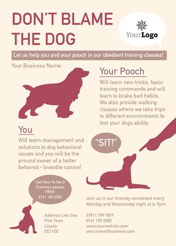 Dog Care A6 Flyers by Rebecca Doherty