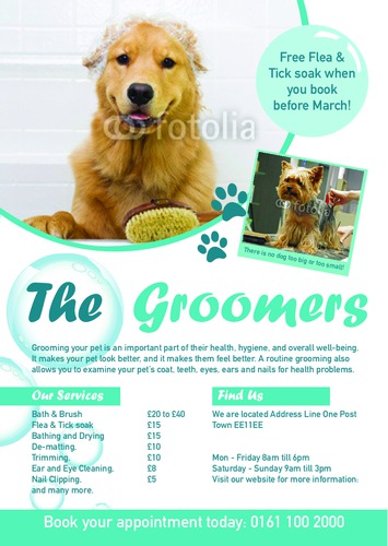 Dog Groomers A5 Flyers by Ro Do