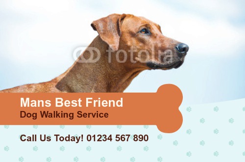 Pets Business Card  by Thomas Mascall