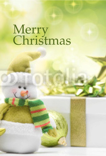 4" x 6" Christmas Cards 4" x 6" Christmas Cards by Paul Bullock