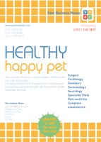 Pet Care A6 Flyers by Templatecloud 