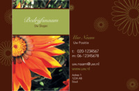 Tuinmannen Visitekaartje  voor Brightstar Creative Ltd