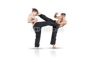 Martial Arts 2" x 3.5" Business Cards by Templatecloud 